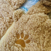 Enterito Osito | Beige