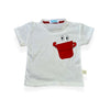 Conjunto Arena y Nube